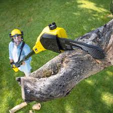 Best Lawn Grading and Leveling  in Roselle, IL